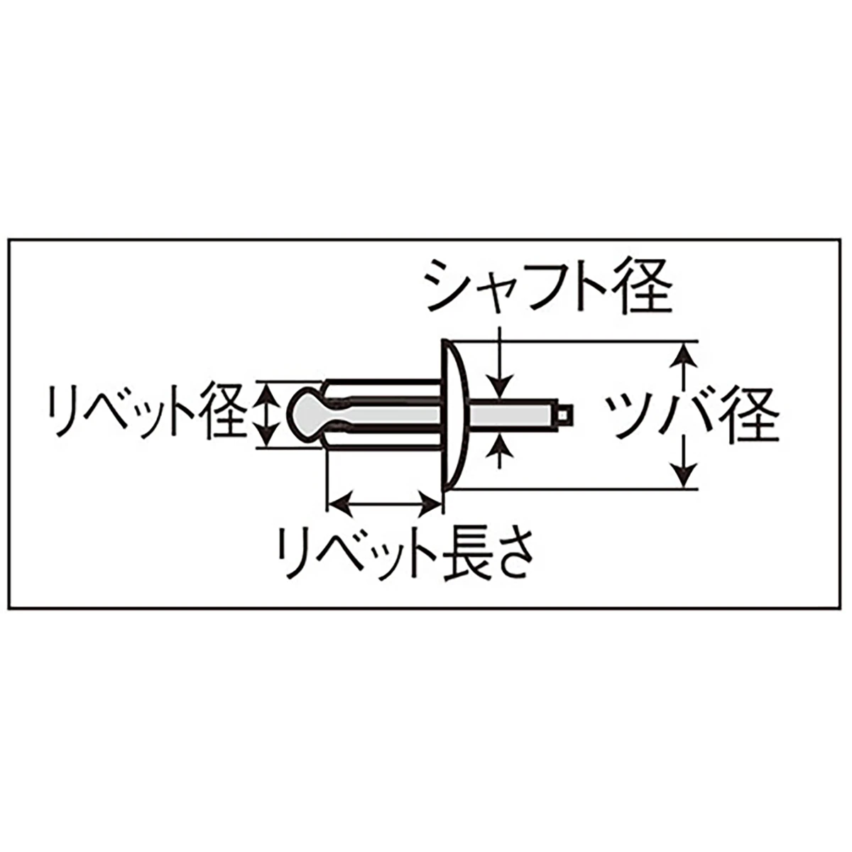 リベット 長さ19.9mm リベット径φ4.8mm 100本入