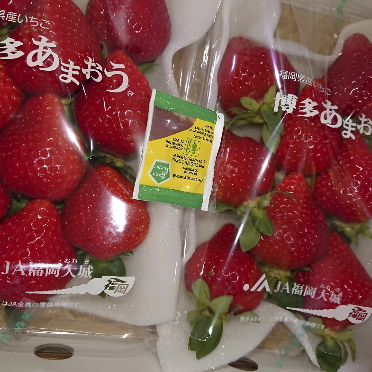 E-FRESH 小袋ミニ 400入