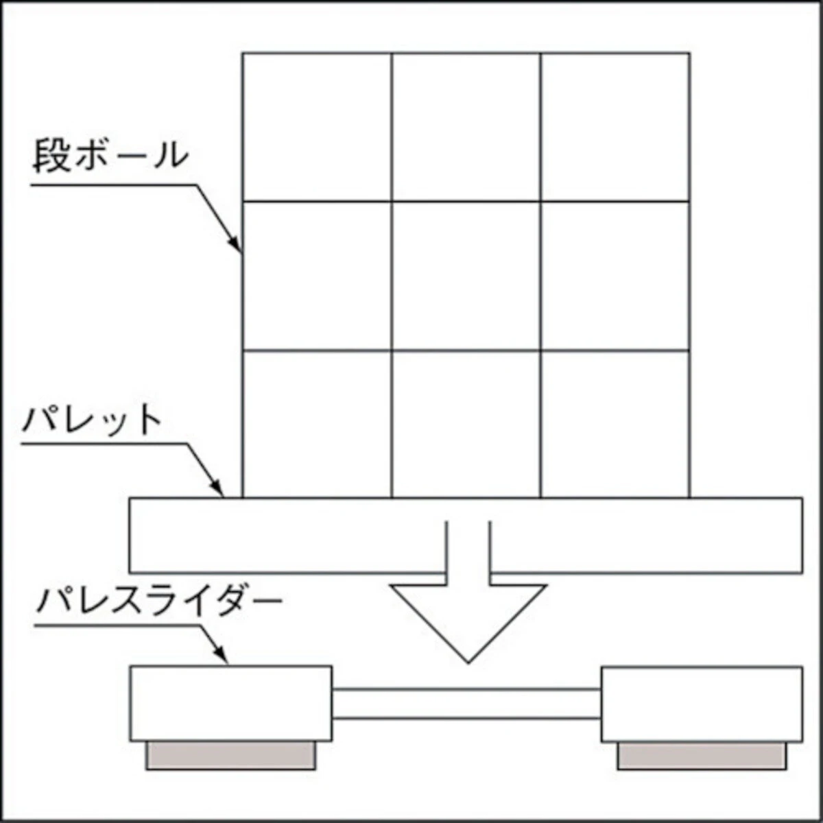 TS パレスライダー