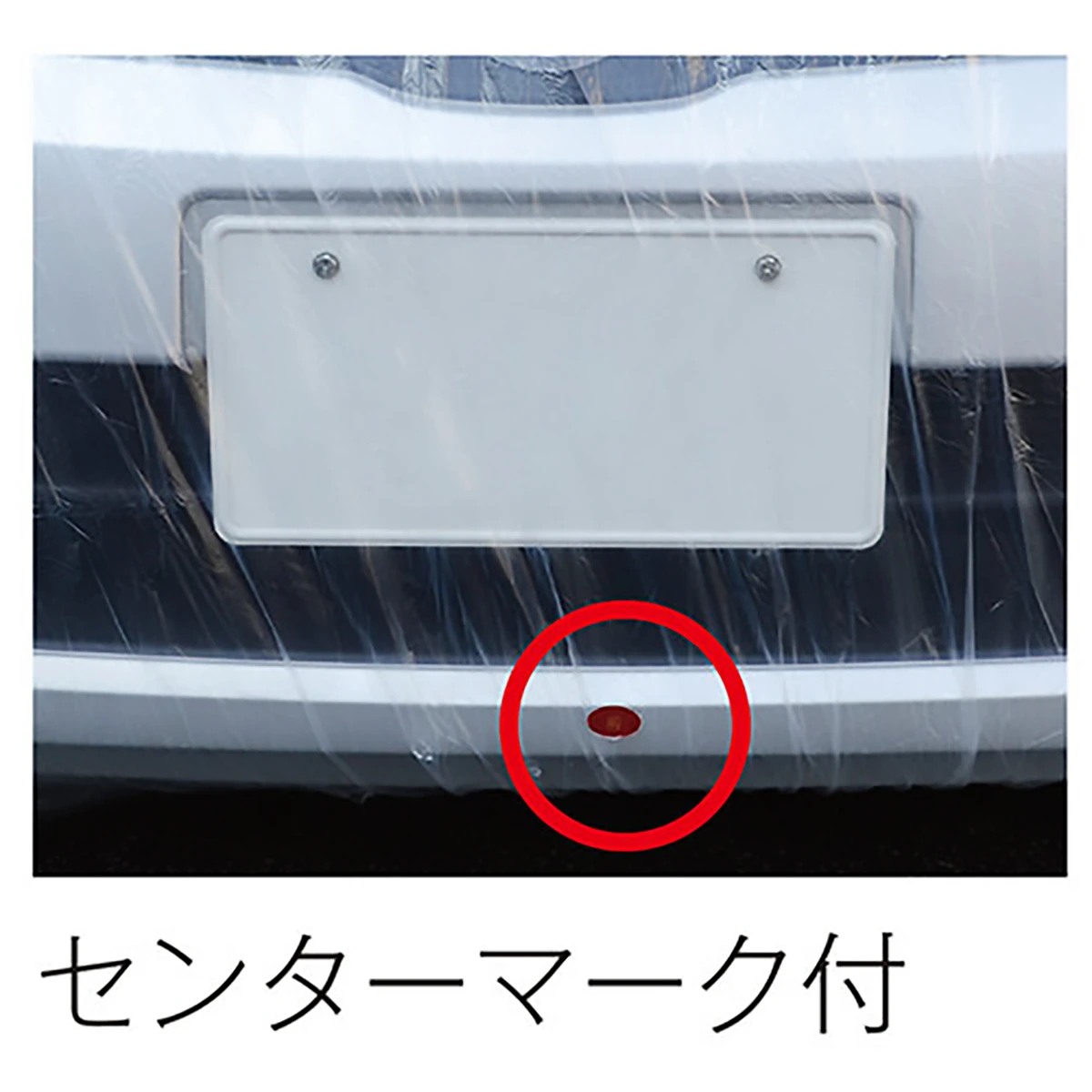 車体カバー 乗用車用 L