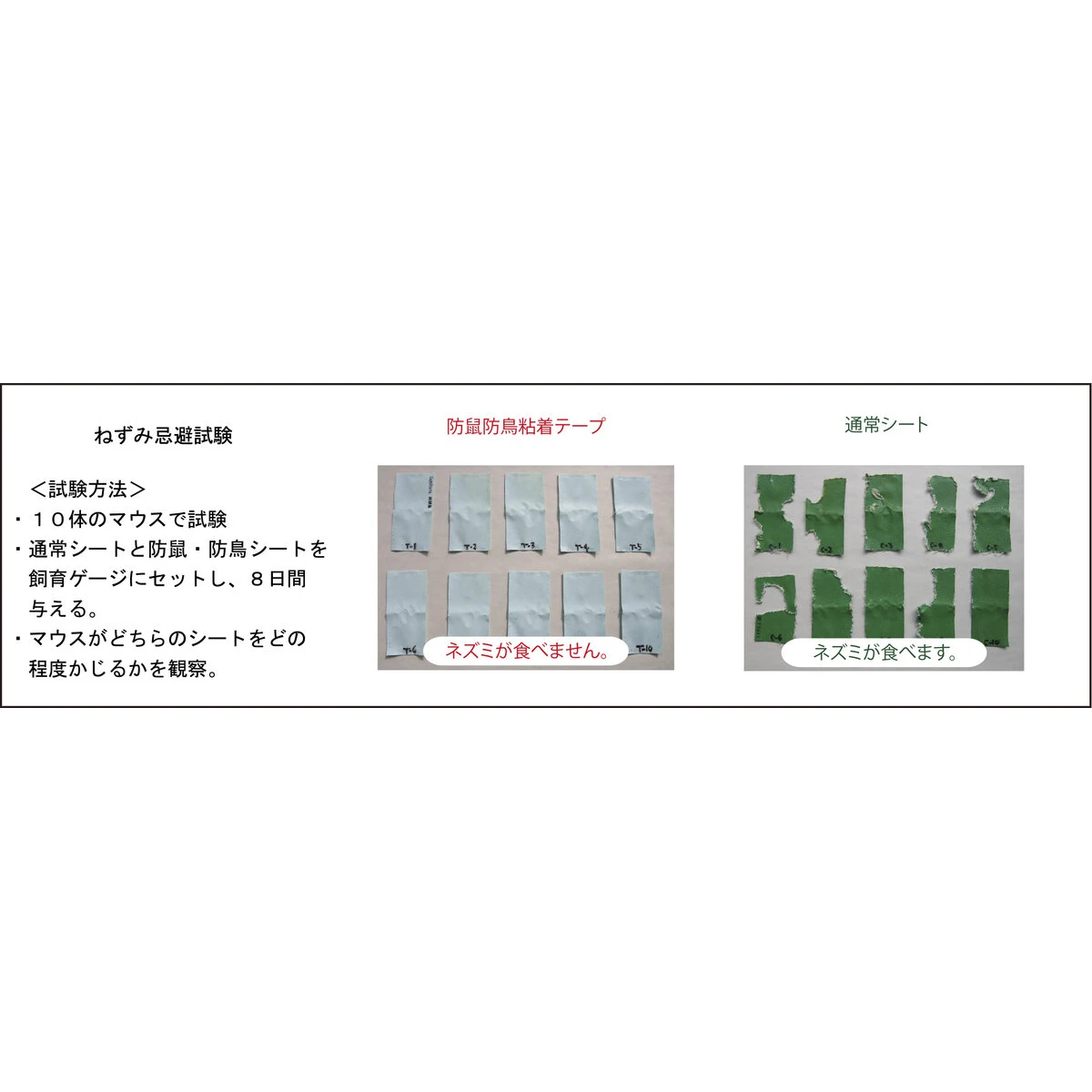 防鼠防鳥粘着テープ 10M