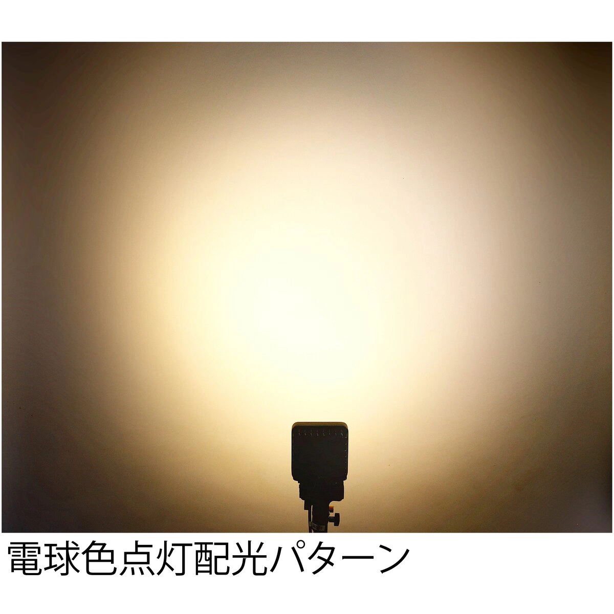 LEDワークランプ 2色切替タイプ 白色/電球色 9LED DC12～24V 防水