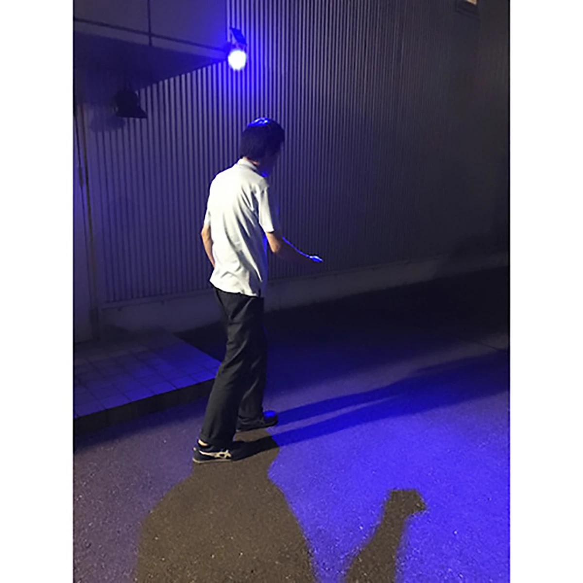 ソーラーブルー 防犯灯 8LED 防水