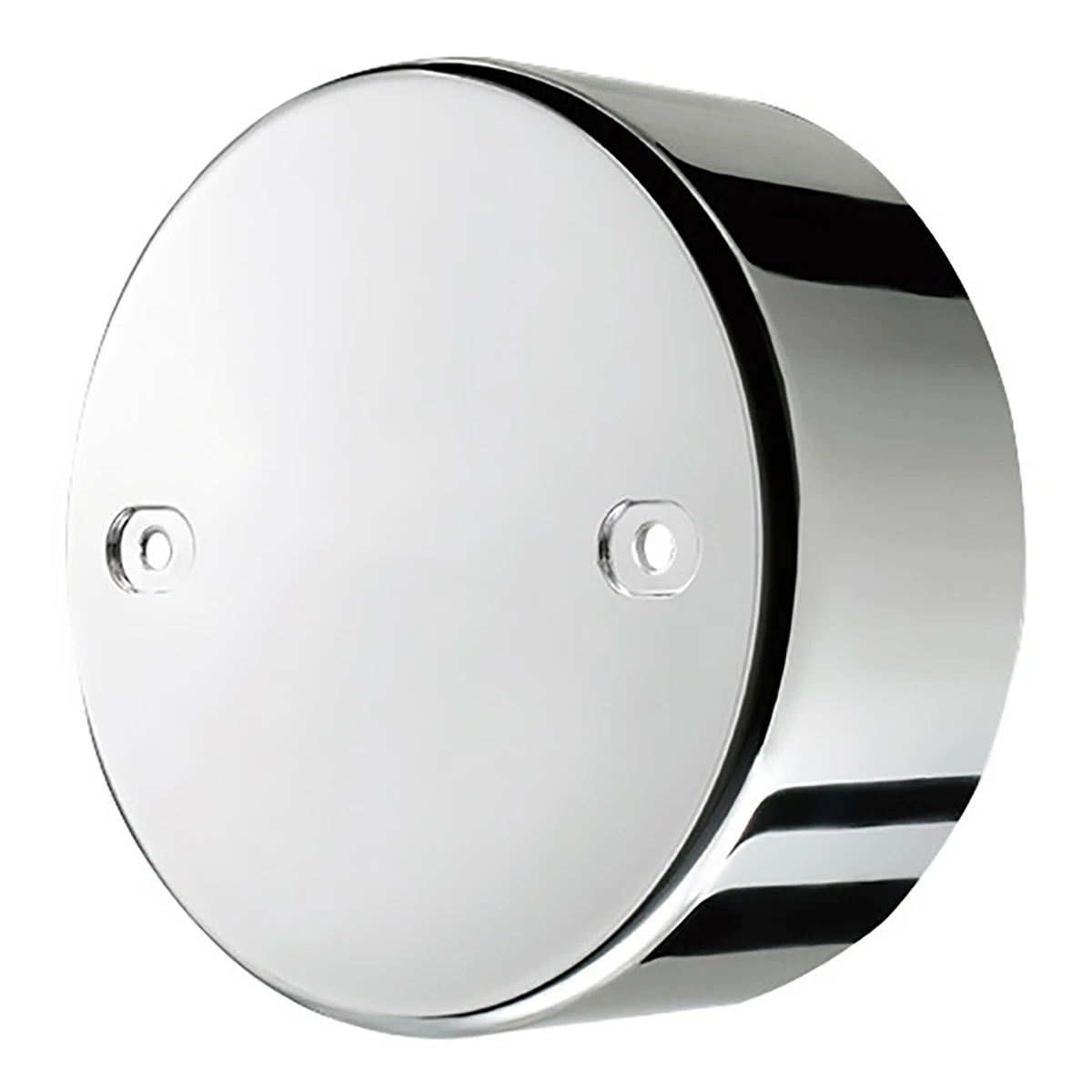 ホイルセンターキャップ 日野 いすゞ 大型 リア ひきずり側用 22.5インチ