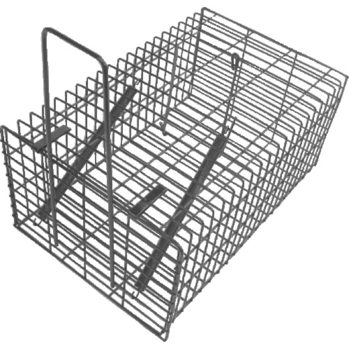 ねずみ捕りハウス