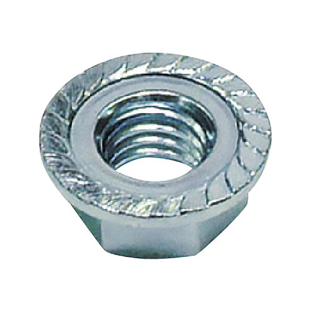 フランジナット S付 生地 ステンレス M5 8×5.5×0.8 100ヶ入り