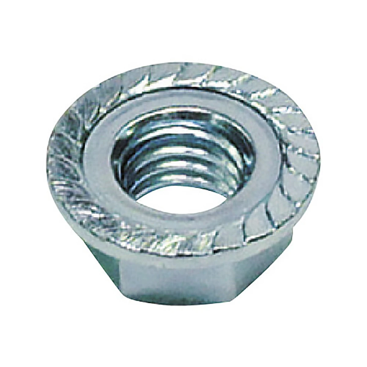 フランジナット S付 生地 ステンレス M8 12×7.5×1.25 100ヶ入り