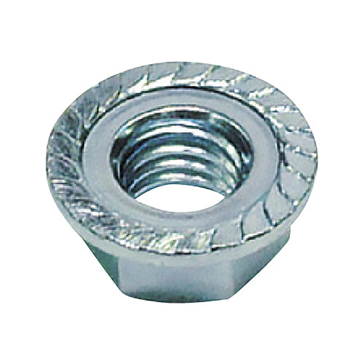 フランジナット S付 生地 ステンレス M12 17×11.5×1.75 100ヶ入り